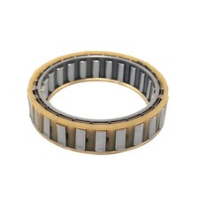 5R55E Sprag Clutch